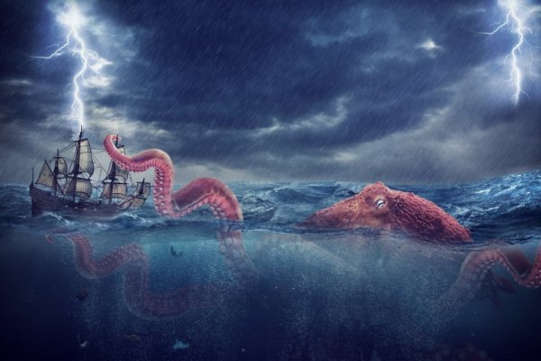 Kraken 24at