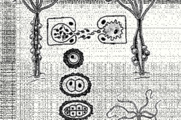 Kraken18 at