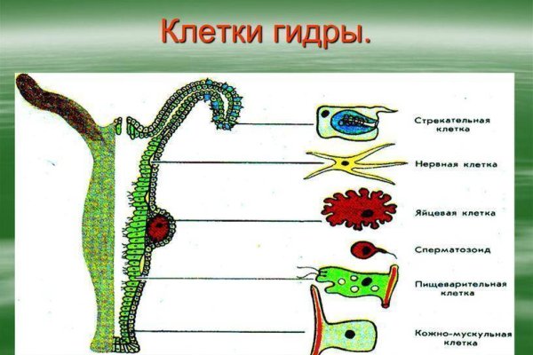 Kraken ссылка krakentor site