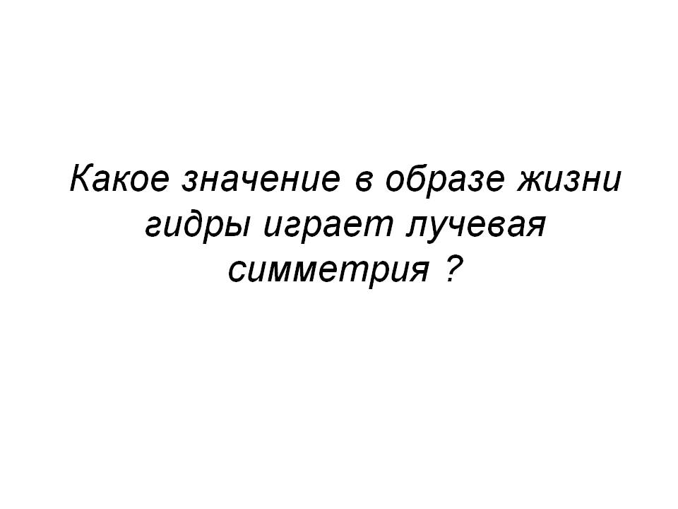 2krn cc официальный