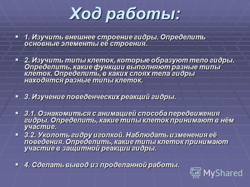 Kraken17 at сайт