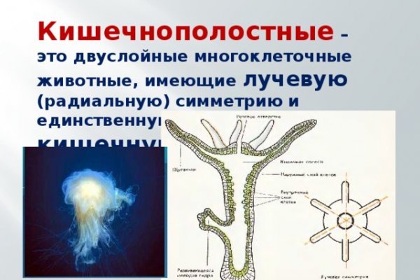 Kraken darknet ссылка тор