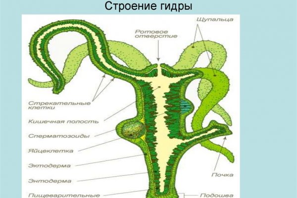 Tor kraken маркет