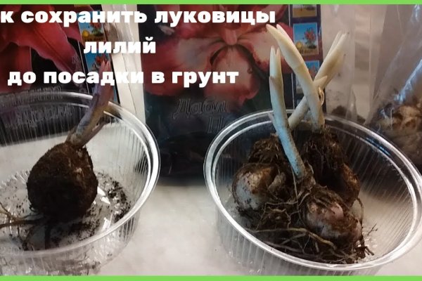 Зеркала сайта кракен tor